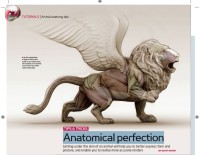 3D World : TIPS & TRICKS Anatomical perfection