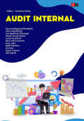 AUDIT INTERNAL